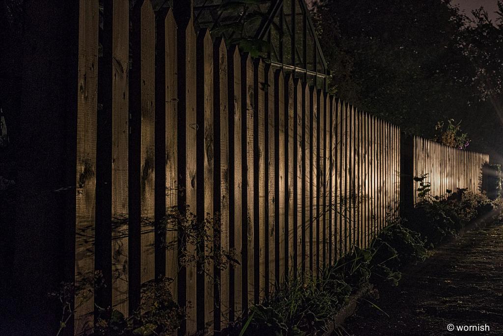 TheFence.jpg