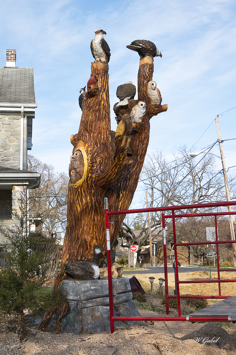 Thetreeboilingsprings 2 sm.jpg