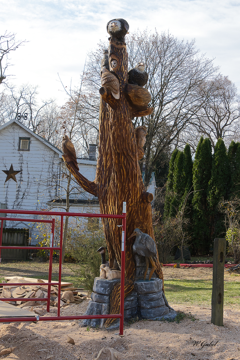 Thetreeboilingsprings 3 sm.jpg