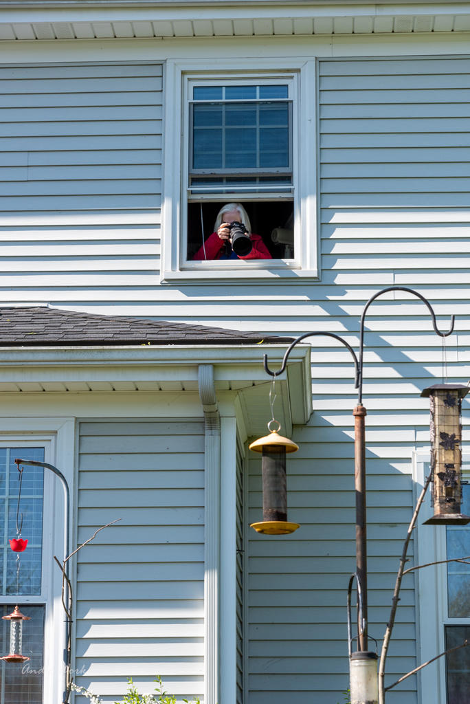 Though the window-0509.jpg