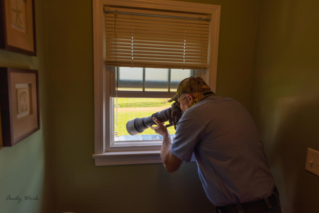 Though the window-0510.jpg