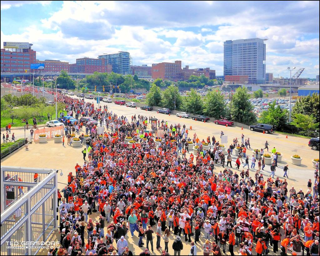 Throngs of Dawgs.jpg