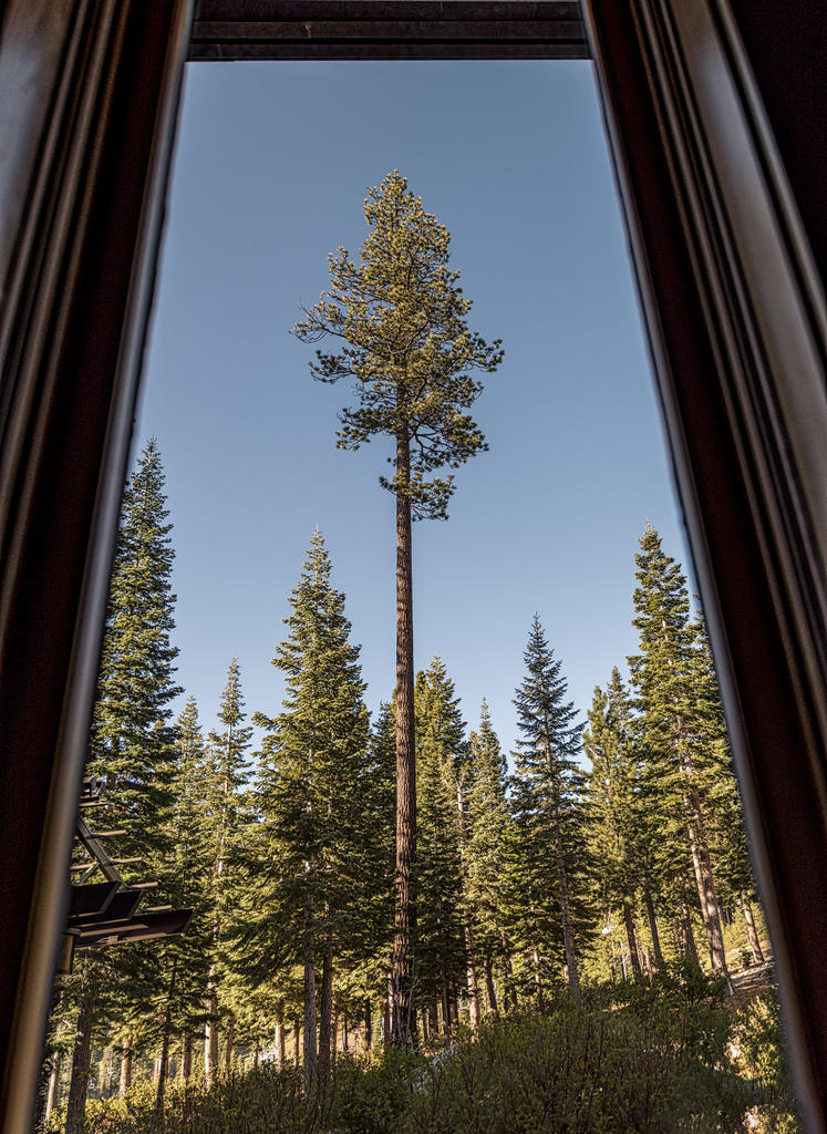 Through-A-window-1.jpg