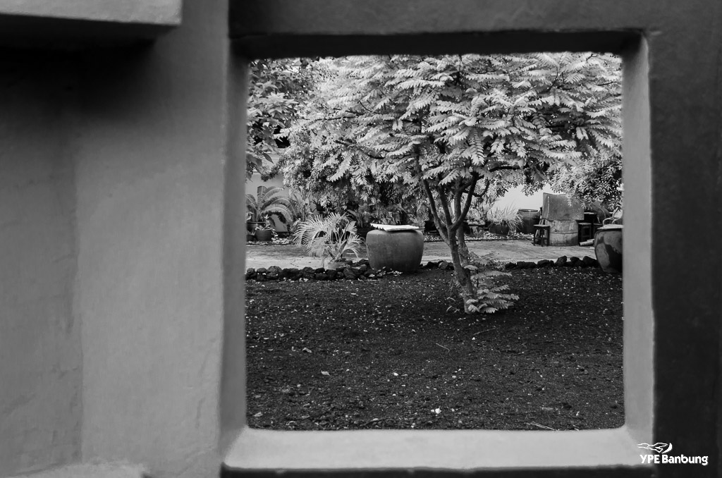 through-b-w2-1.jpg