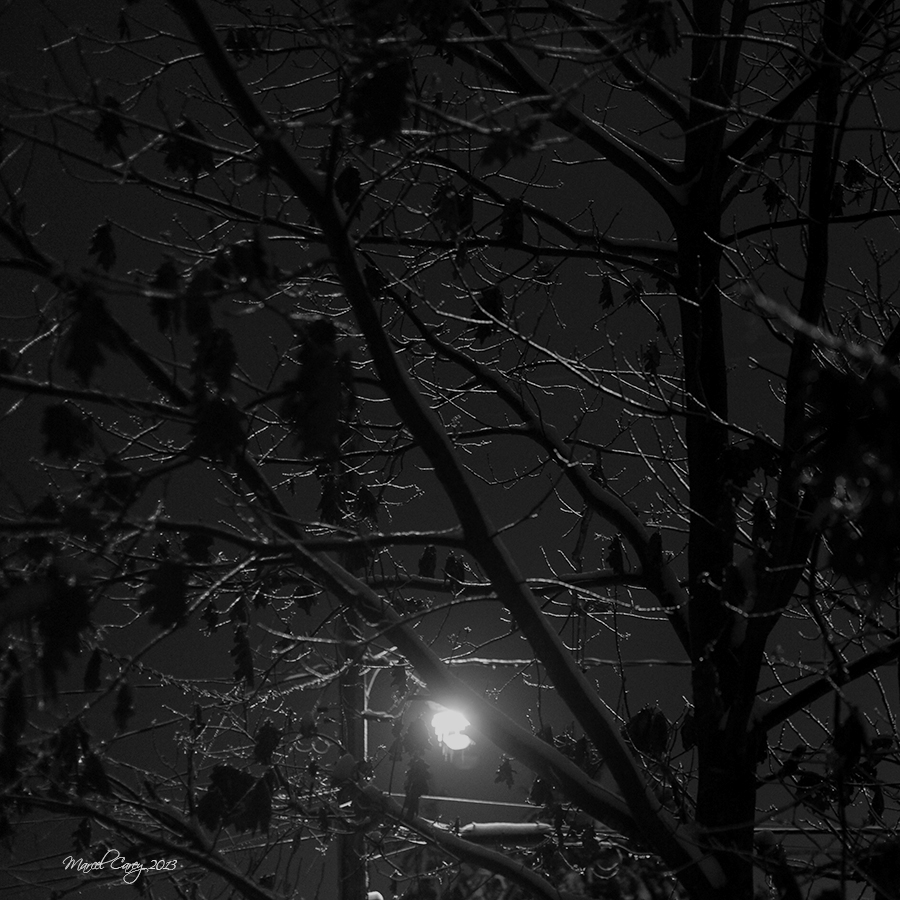 Through the window.jpg