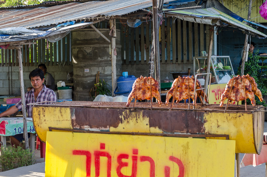 THU-Morning-Walk-13.jpg
