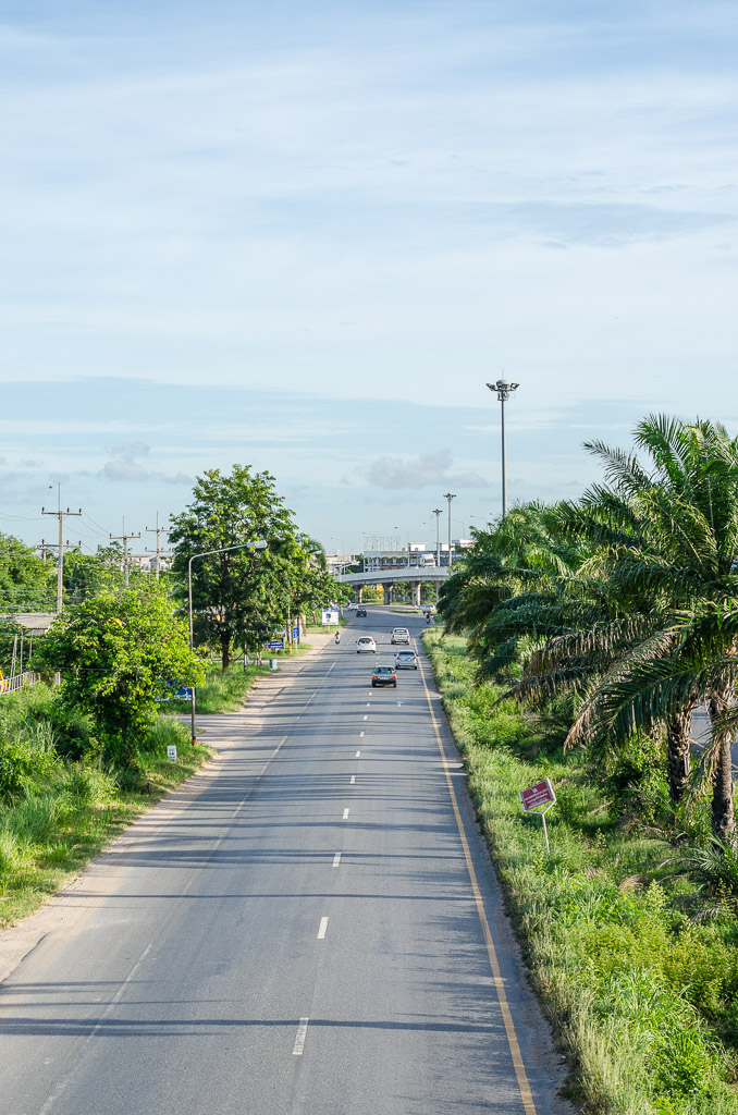 THU-Morning-Walk-7.jpg