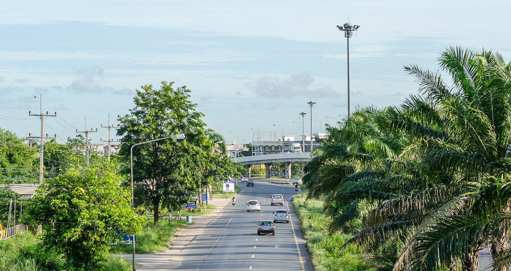 THU-Morning-Walk-8.jpg