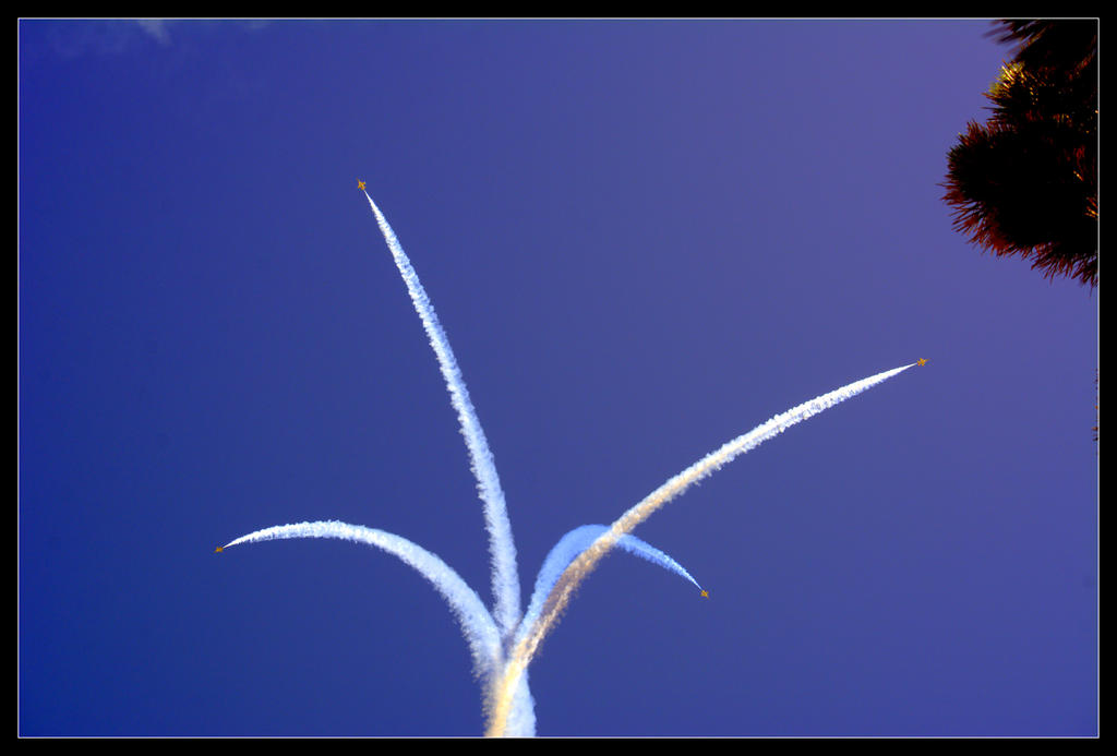 Thunderbirds Blossom 6-24-2016.jpg