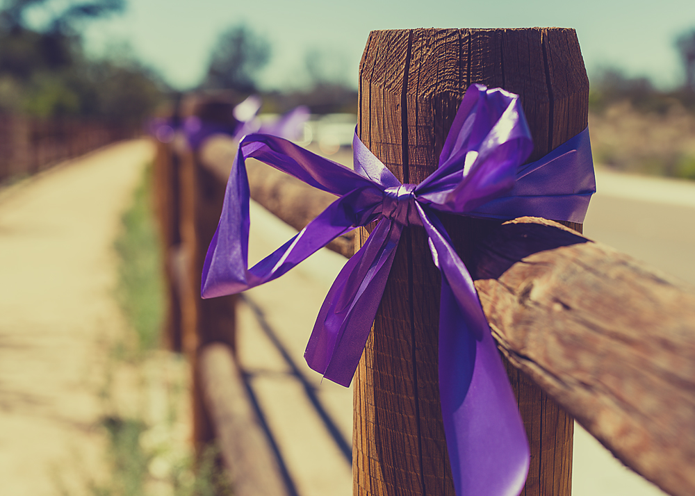 Tie a Purple Ribbon.jpg