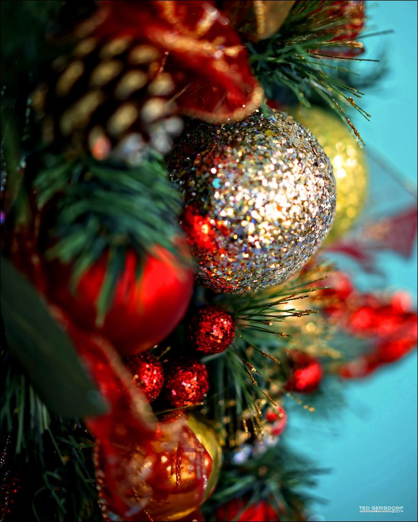 Tilford Christmas  3.jpg