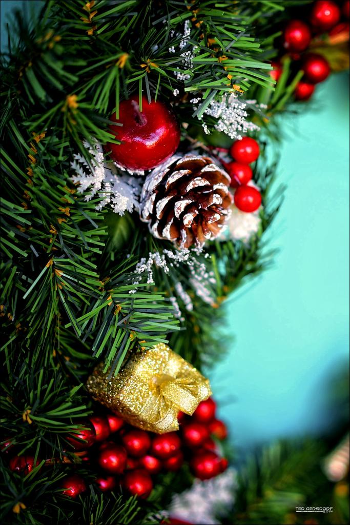 Tilford Christmas  4.jpg