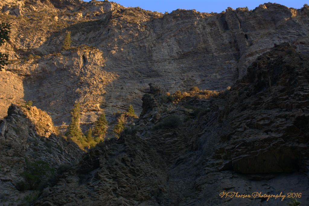 Timponogos Canyon #1  8-1-2016.jpg
