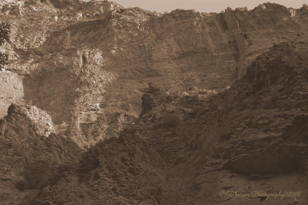 Timponogos Canyon #2  8-1-2016.jpg