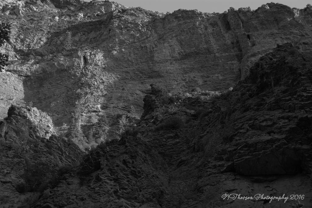 Timponogos Canyon #3  8-1-2016.jpg