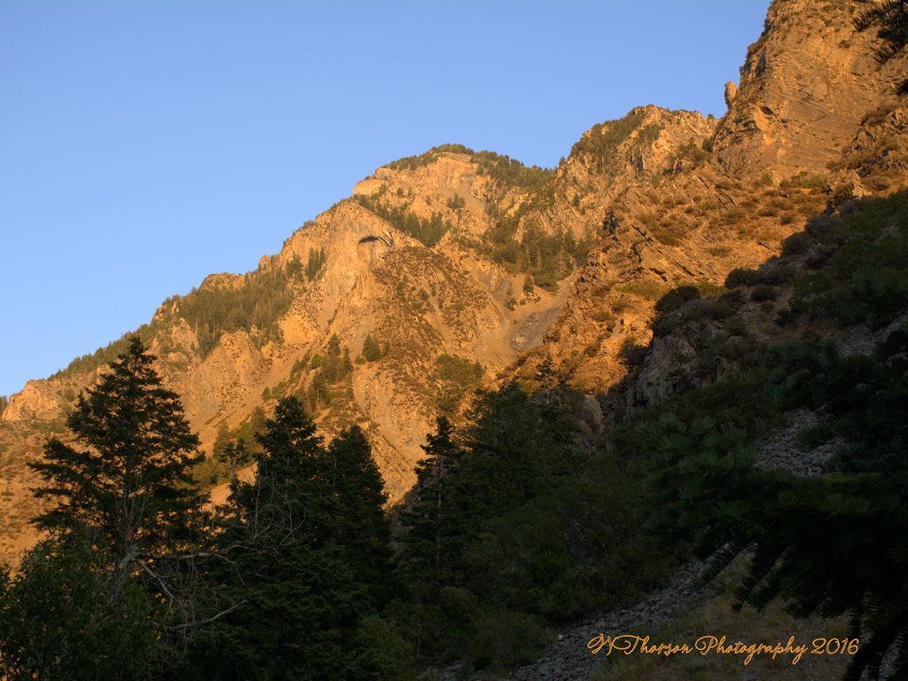 Timponogos Canyon #4  8-1-2016.jpg