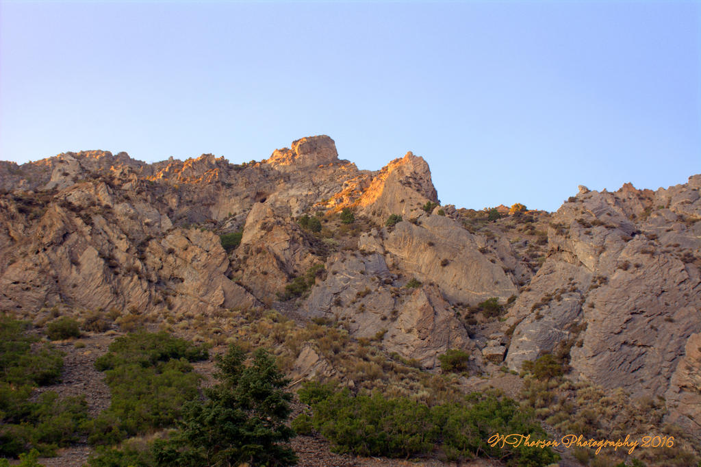 Timponogos Canyon #5  8-1-2016.jpg