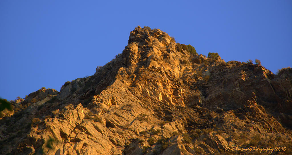 Timponogos Canyon #6  8-1-2016.jpg