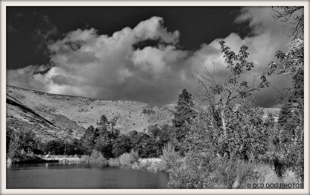 TIMS POND 247.jpg