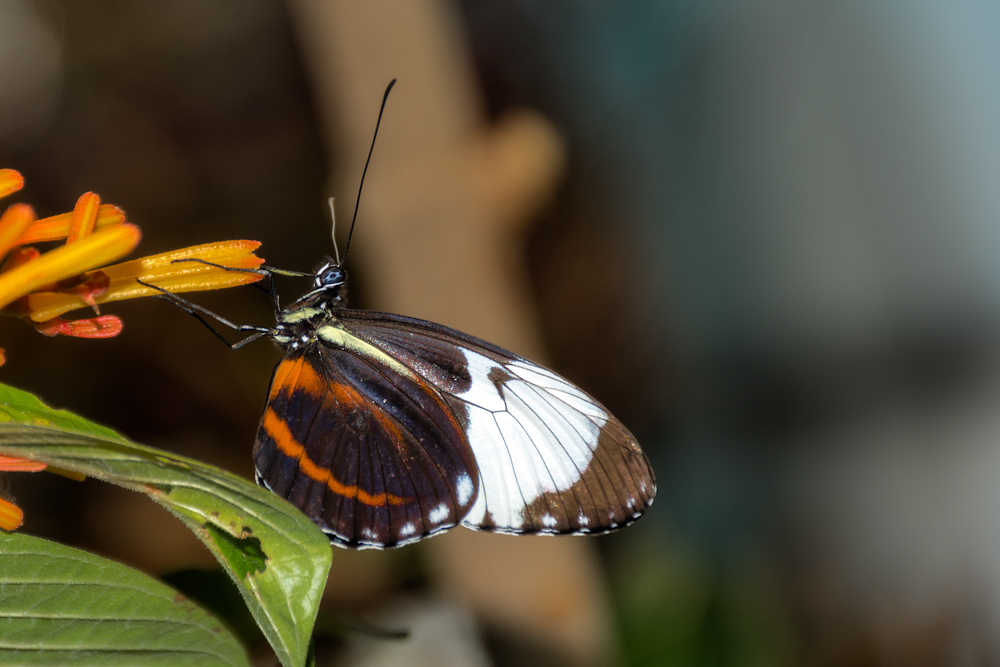 Tn-Aquarium--10.jpg