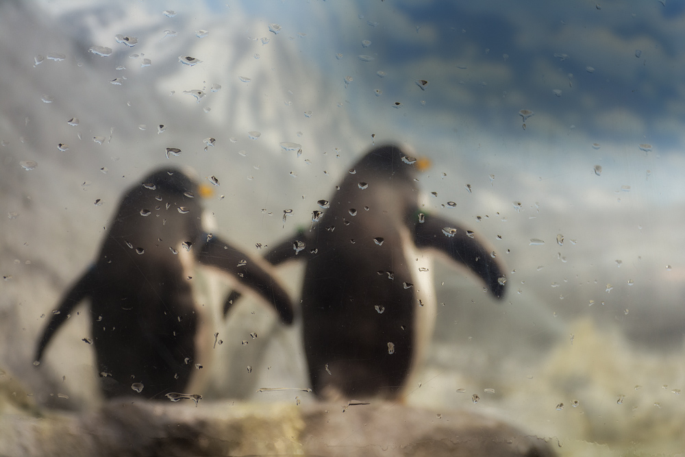 Tn-Aquarium--15.jpg
