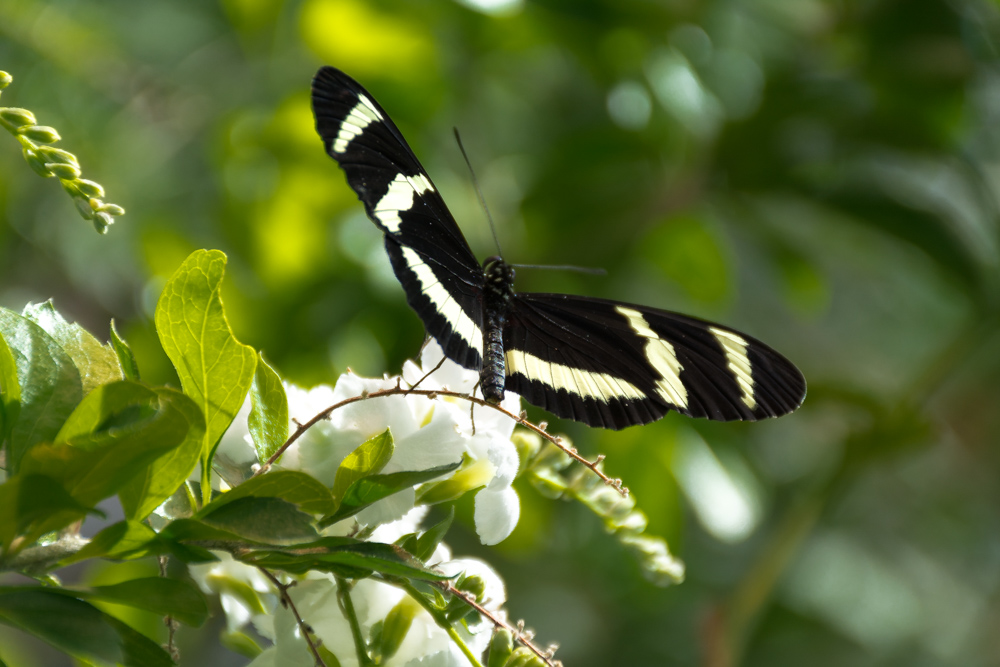 Tn-Aquarium-2677.jpg