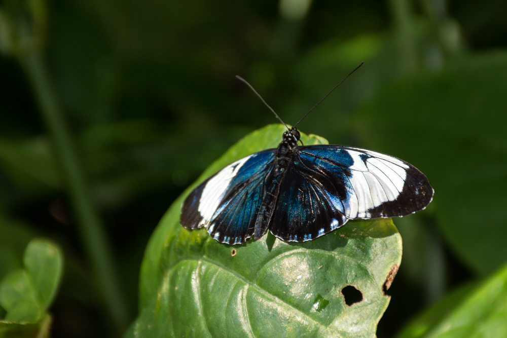 Tn-Aquarium-2708.jpg
