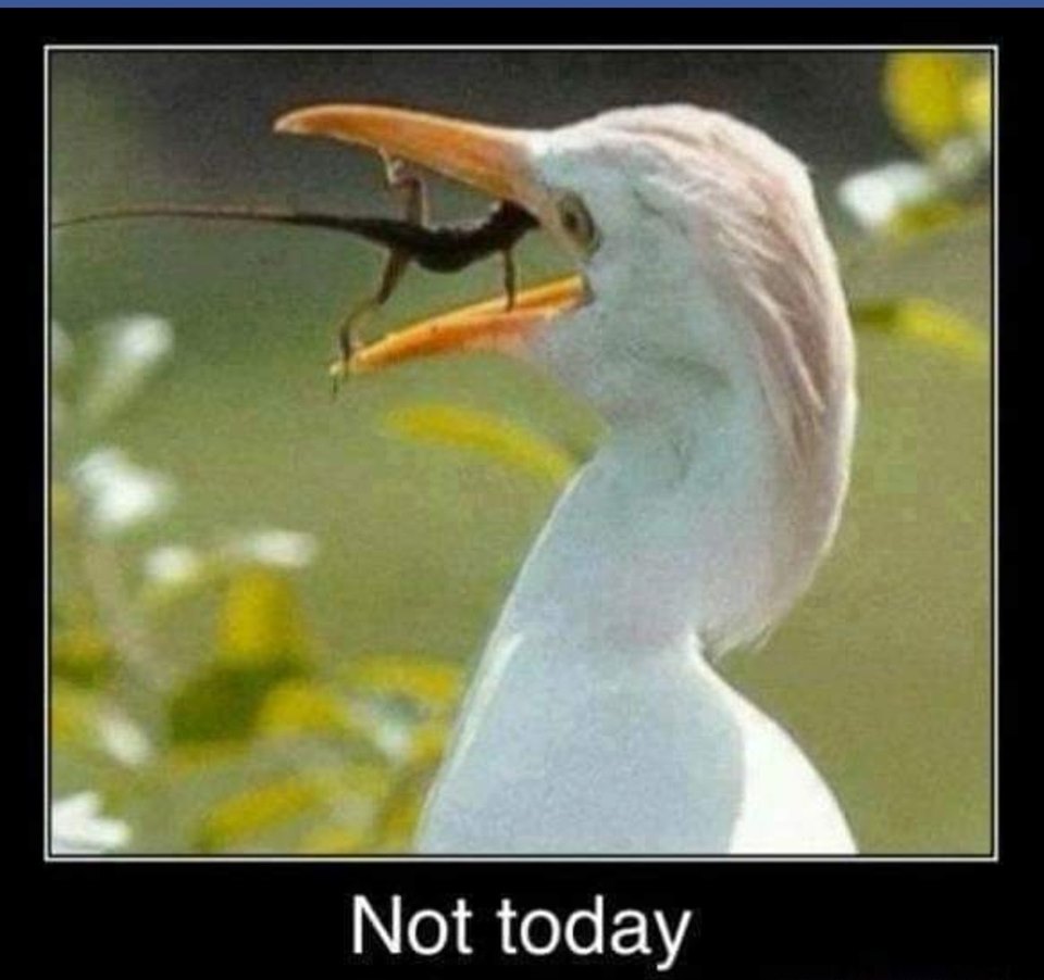 today.jpg
