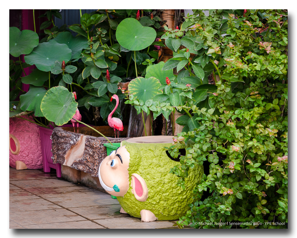today-morning-2.jpg