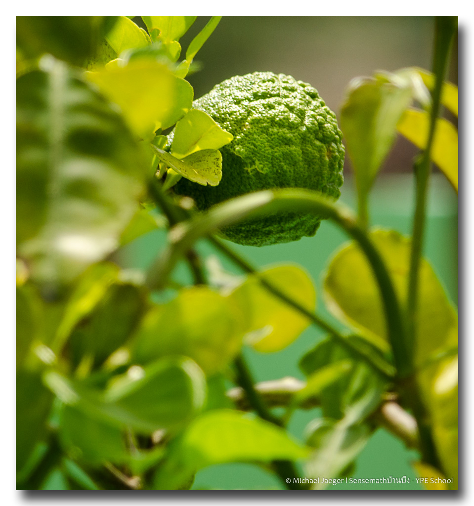 today-morning2-5.jpg