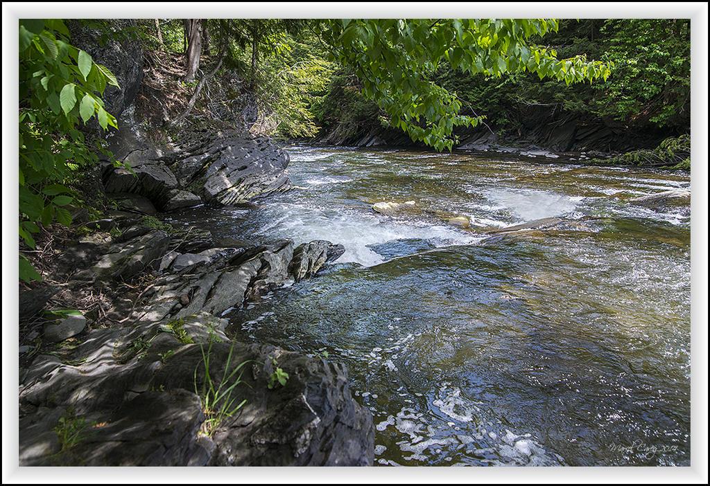 tomifobia river 2.jpg
