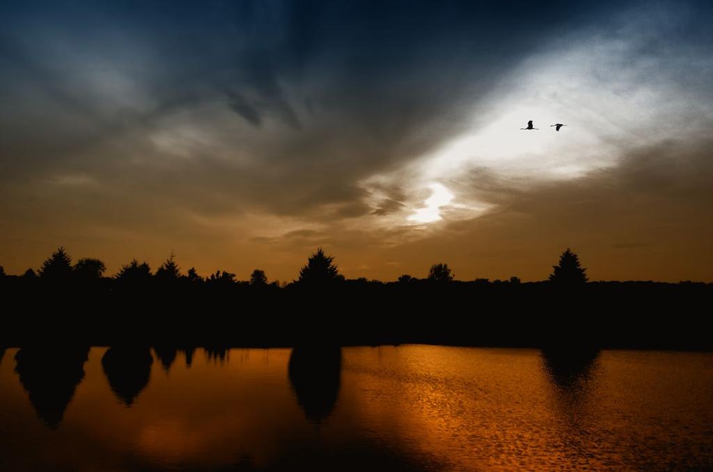 toned sunset1200.jpg