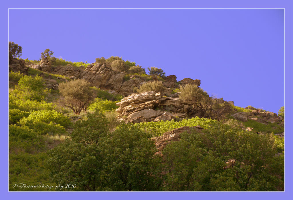 Top of Farmington Canyon  #2 5-21-2016.jpg