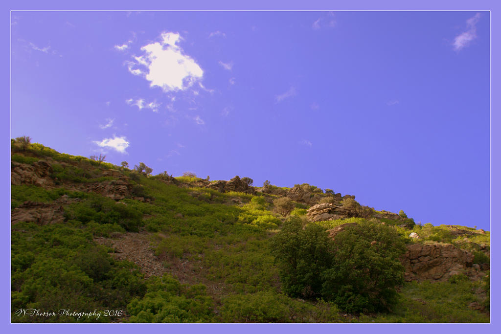 Top of Farmington Canyon 5-21-2016.jpg