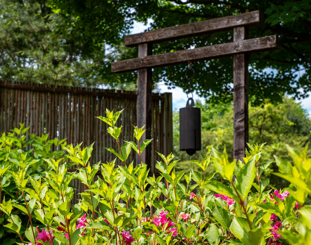 Torii 2 (1 of 1).jpg