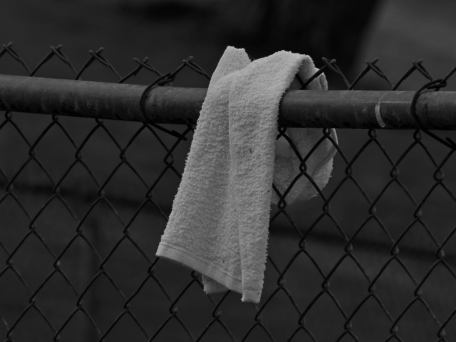 Towel.jpg