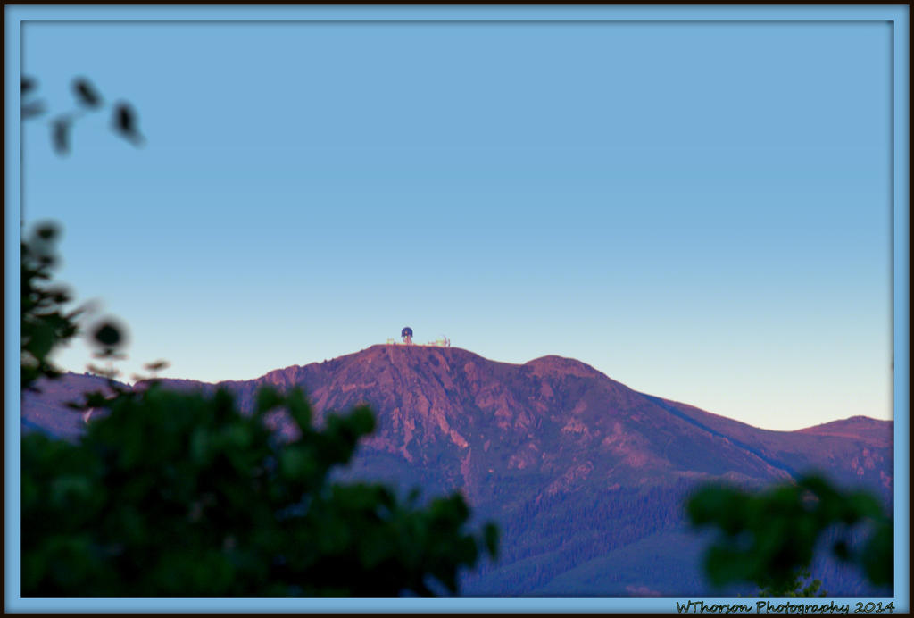 Towers From My Kitchen.jpg