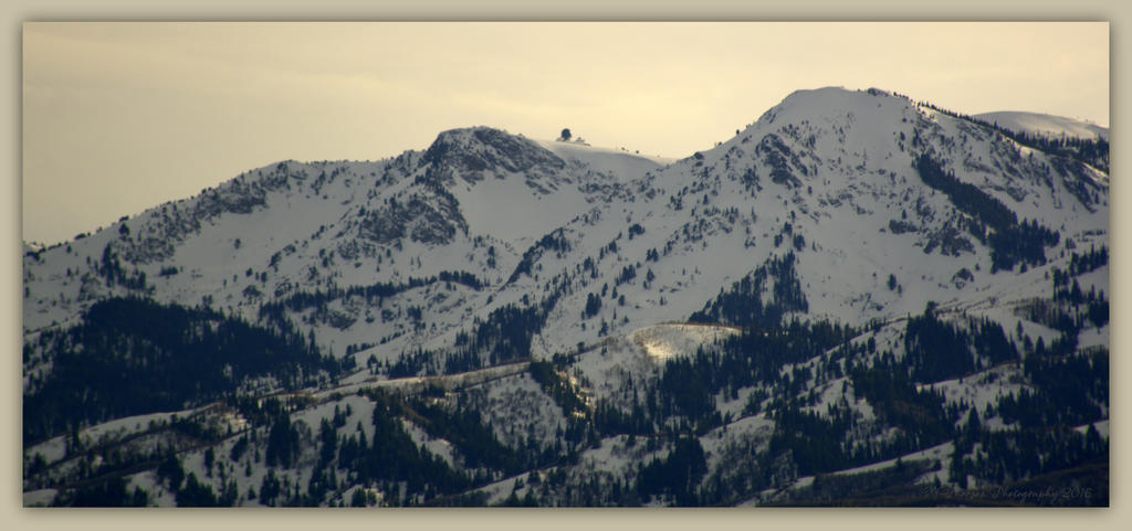 Towers from the Other Side of the Mountain  3-27-2016.jpg