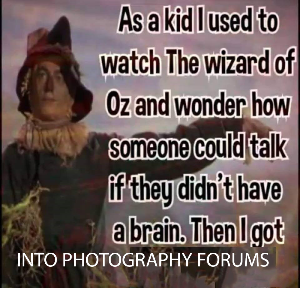 tpbL.jpg