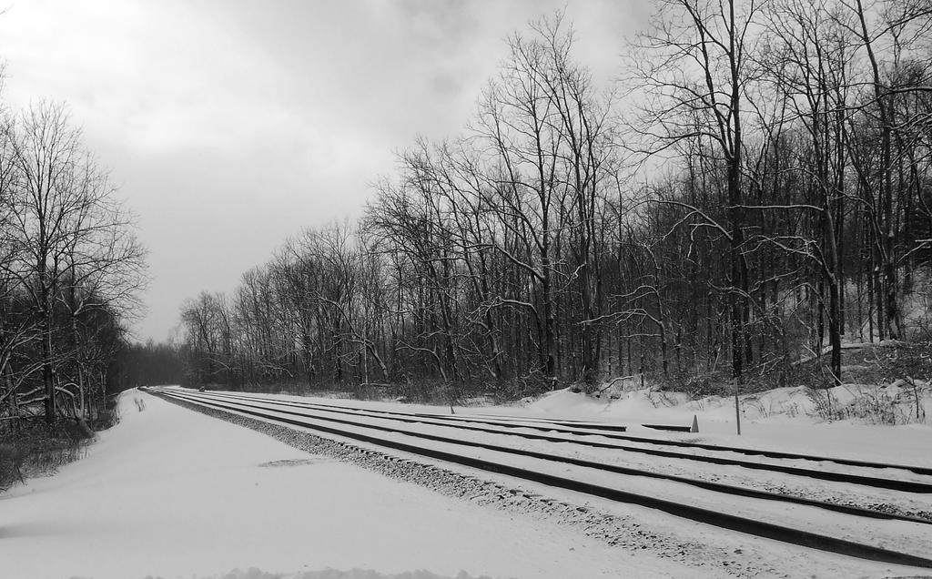 tracks.jpg