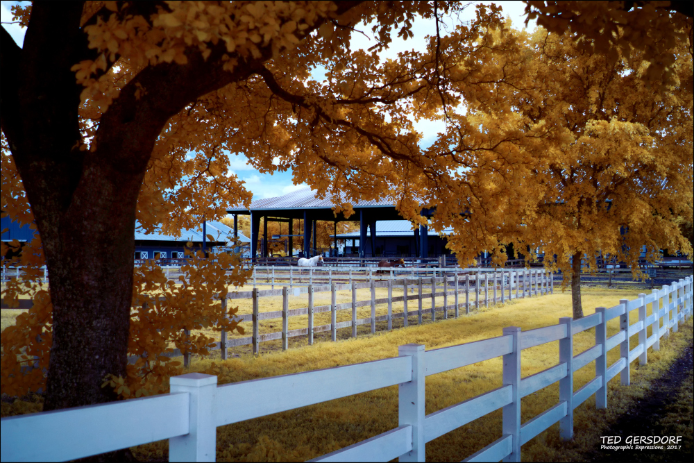 Tradewinds IR ReDo  1_01.JPG