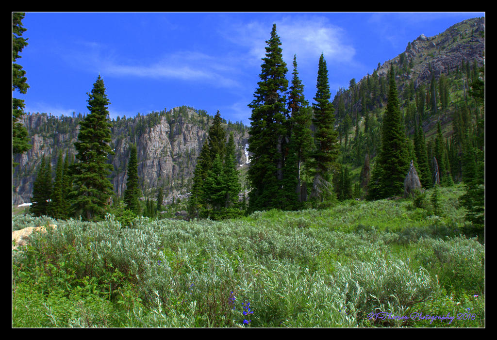 Trail to Bloomington Lake 7-5-2016.jpg