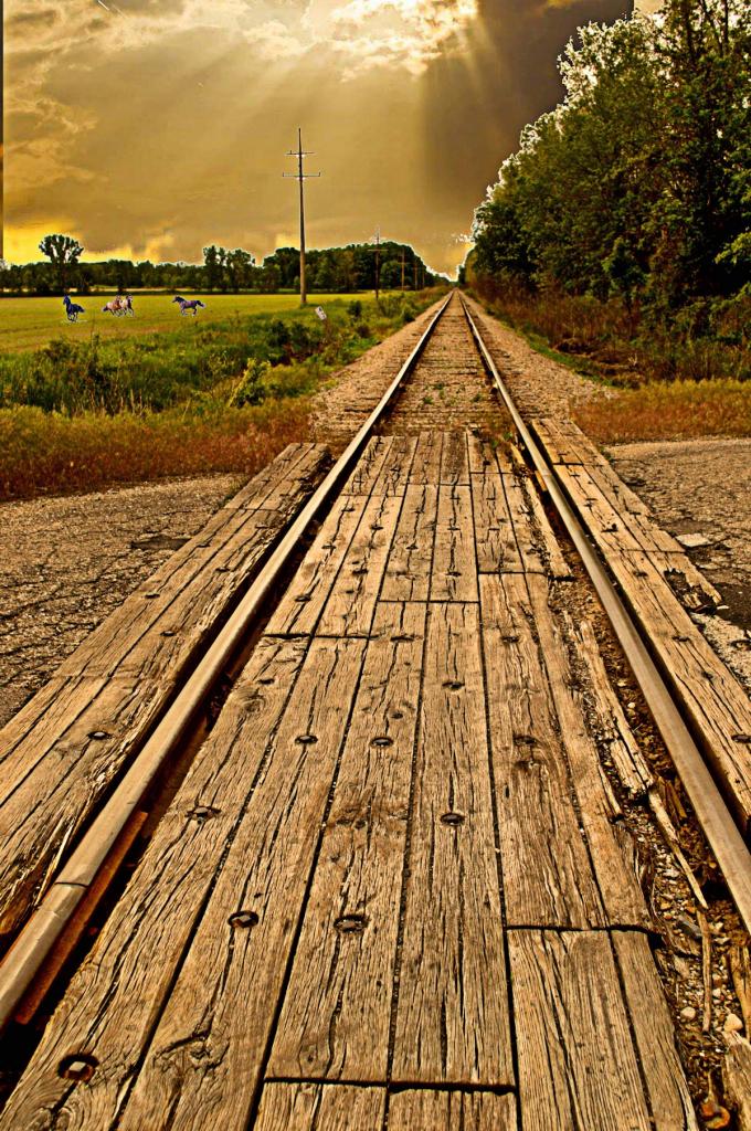 train track horses copy_edited-.jpg