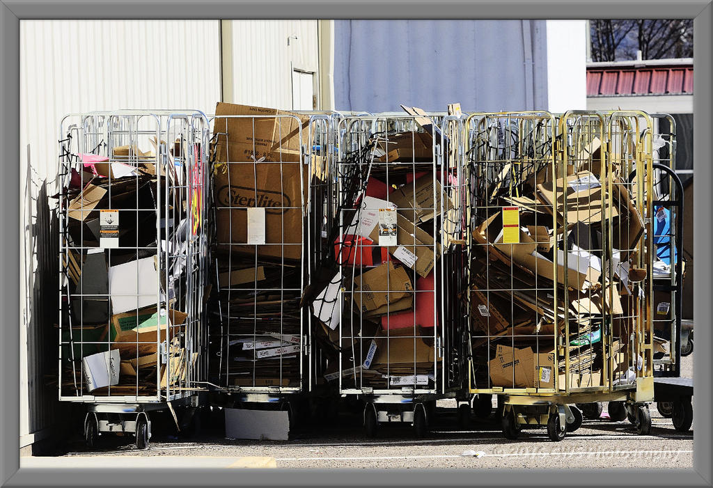 trash-cr_D7K0889.jpg