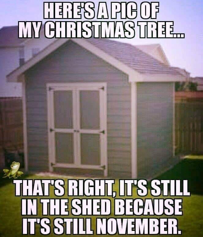 tree.jpg