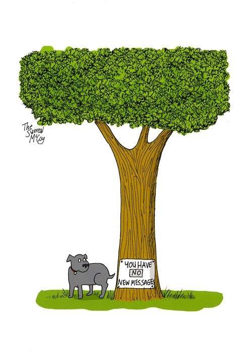 tree.jpg