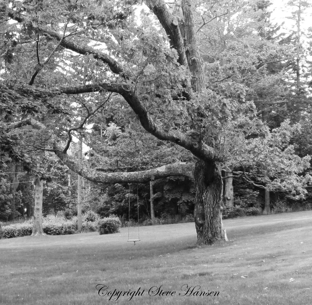 tree.jpg