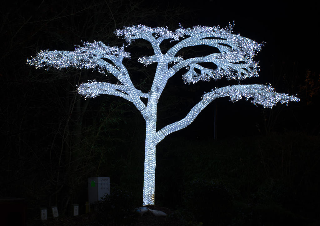 Tree of Lights.jpg