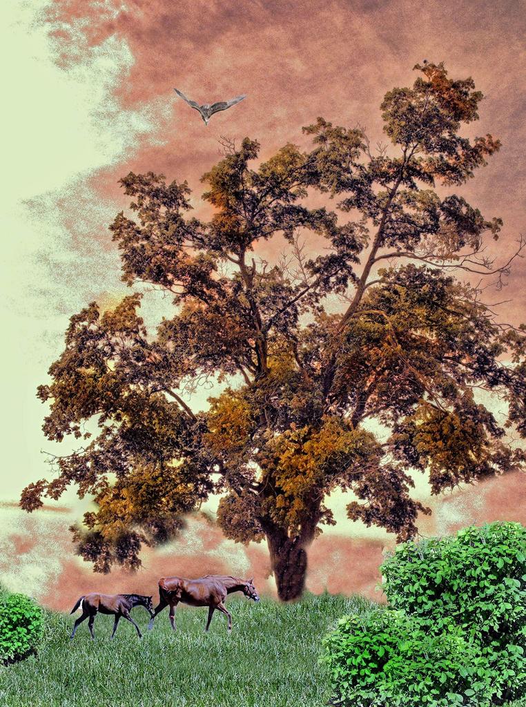 tree7.jpg