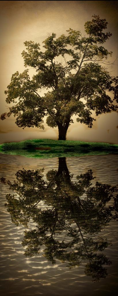 tree9_pe.jpg
